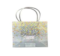 CLEAR GIFT BAG