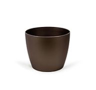 4.99 VASE