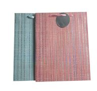 LARGE EVERDAY GIFT BAG 