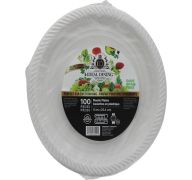 9.99 IDEAL DINING PLASTIC PLATES 100 PIECES 10 INCH