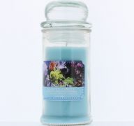 SCENTED CANDLE SEA LILY