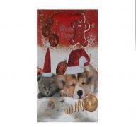 1.99 XL PUPPY AND KITTY CHRISTMAS BAG