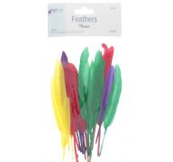 FEATHER 20 PC