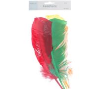 FEATHERS 5 PC  