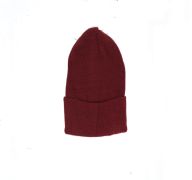 1.99 ADULT BEANIE ASST