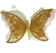 GOLD BUTTERFLY