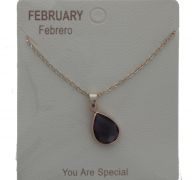 FEBRUARY BIRTHSTONE NECKLACE LETTER NECKLACE