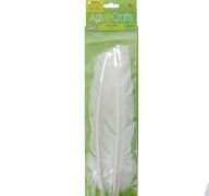 FEATHER QUILL WHITE