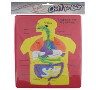 PUZZLE DIGESTIVE SYSTEM