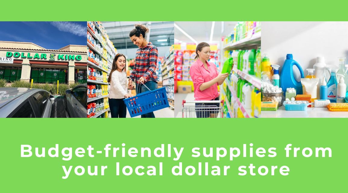 dollar store online shopping guide